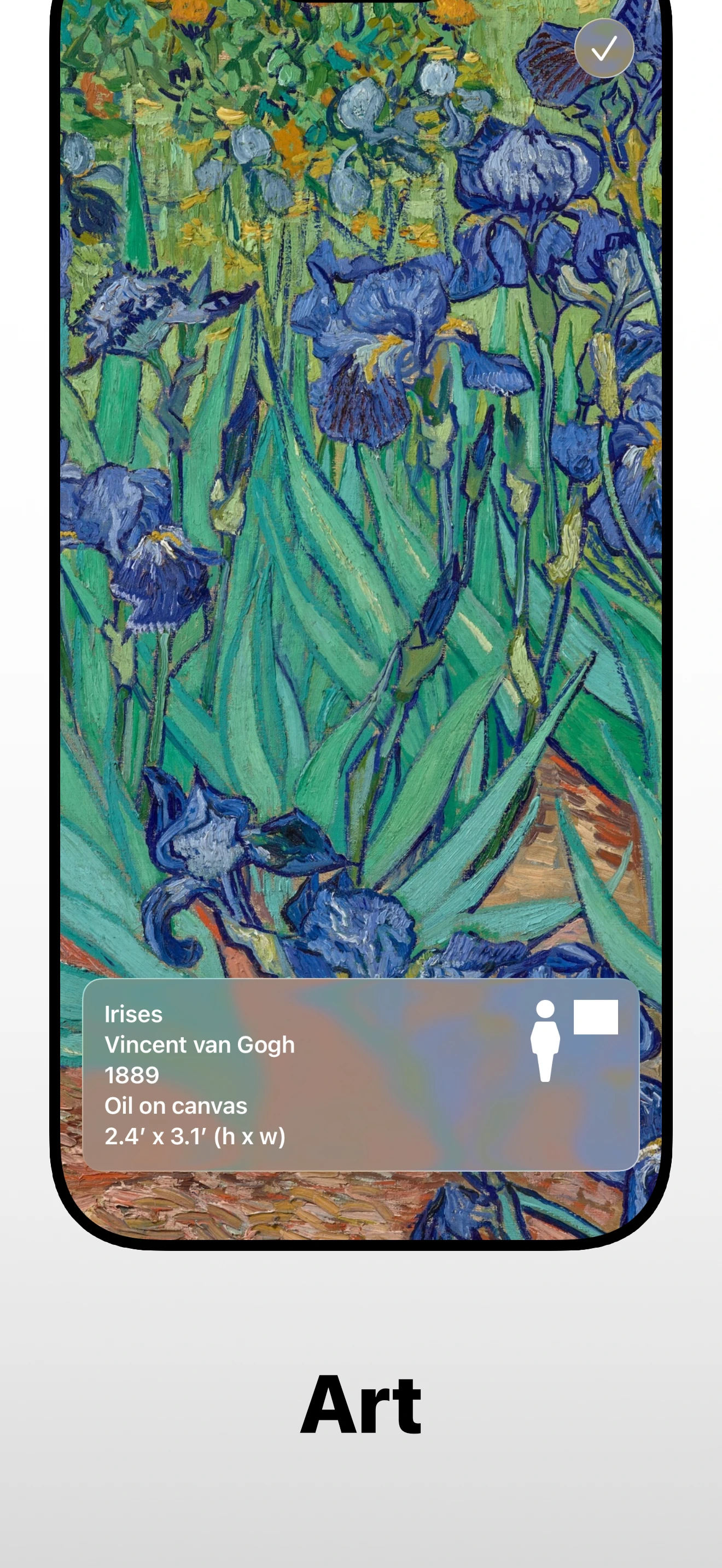 Irises revealed after the puzzle